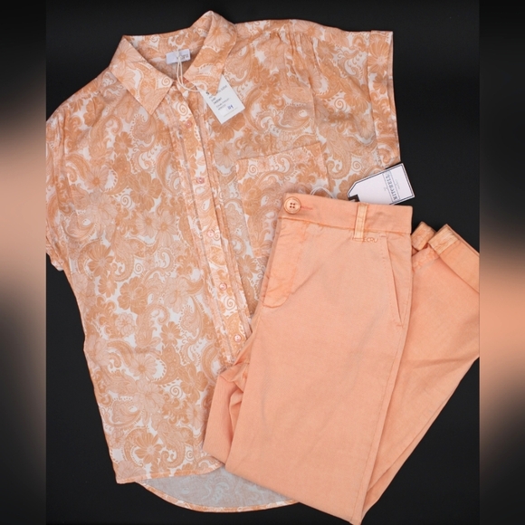 ecru Pants - Ecru 2-Piece NWT Set – Button-Up Blouse & Capri Pants (Size S/4)